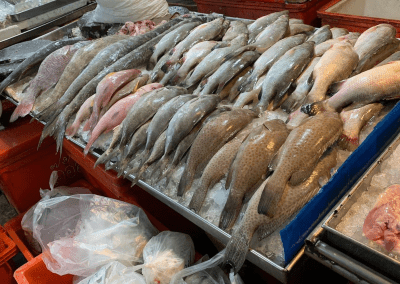 Fresh fish at Hua Hin Night Market